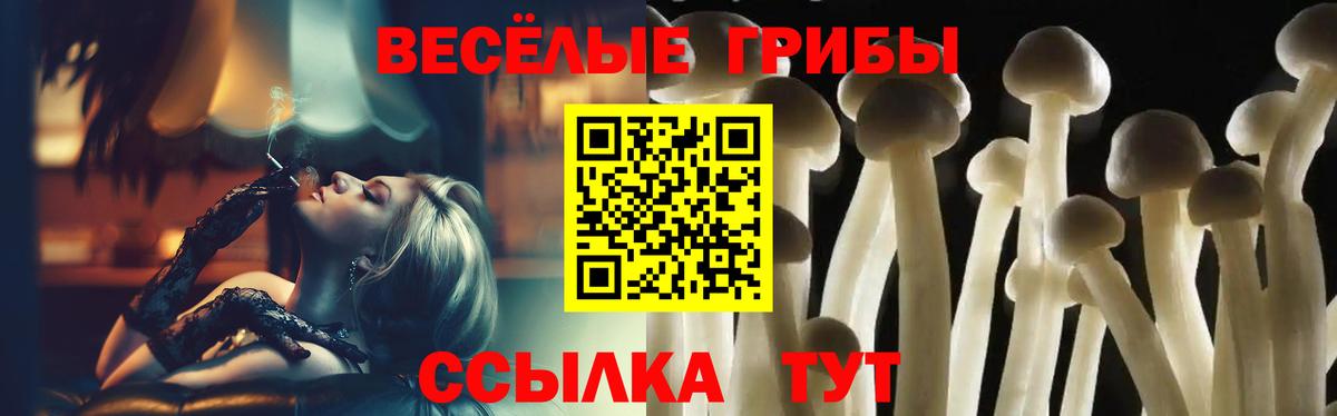 Псилоцибиновые грибы мицелий Владикавказ